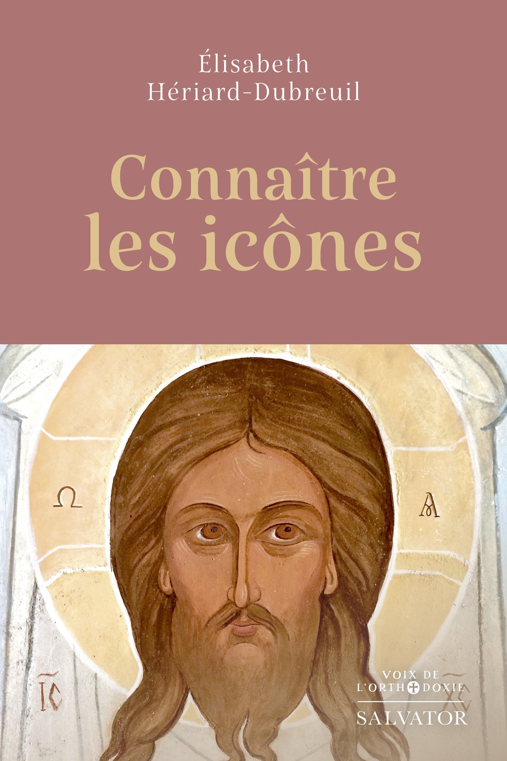 Connaître les icônes