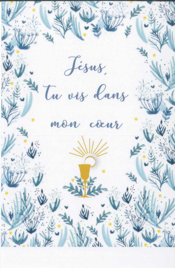 Lot de 25 Images Jésus, tu vis dans mon coeur