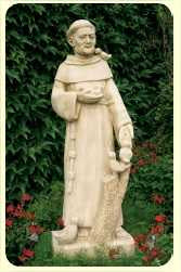 Paquet de 50 cartes - Prière - Saint François d'Assise