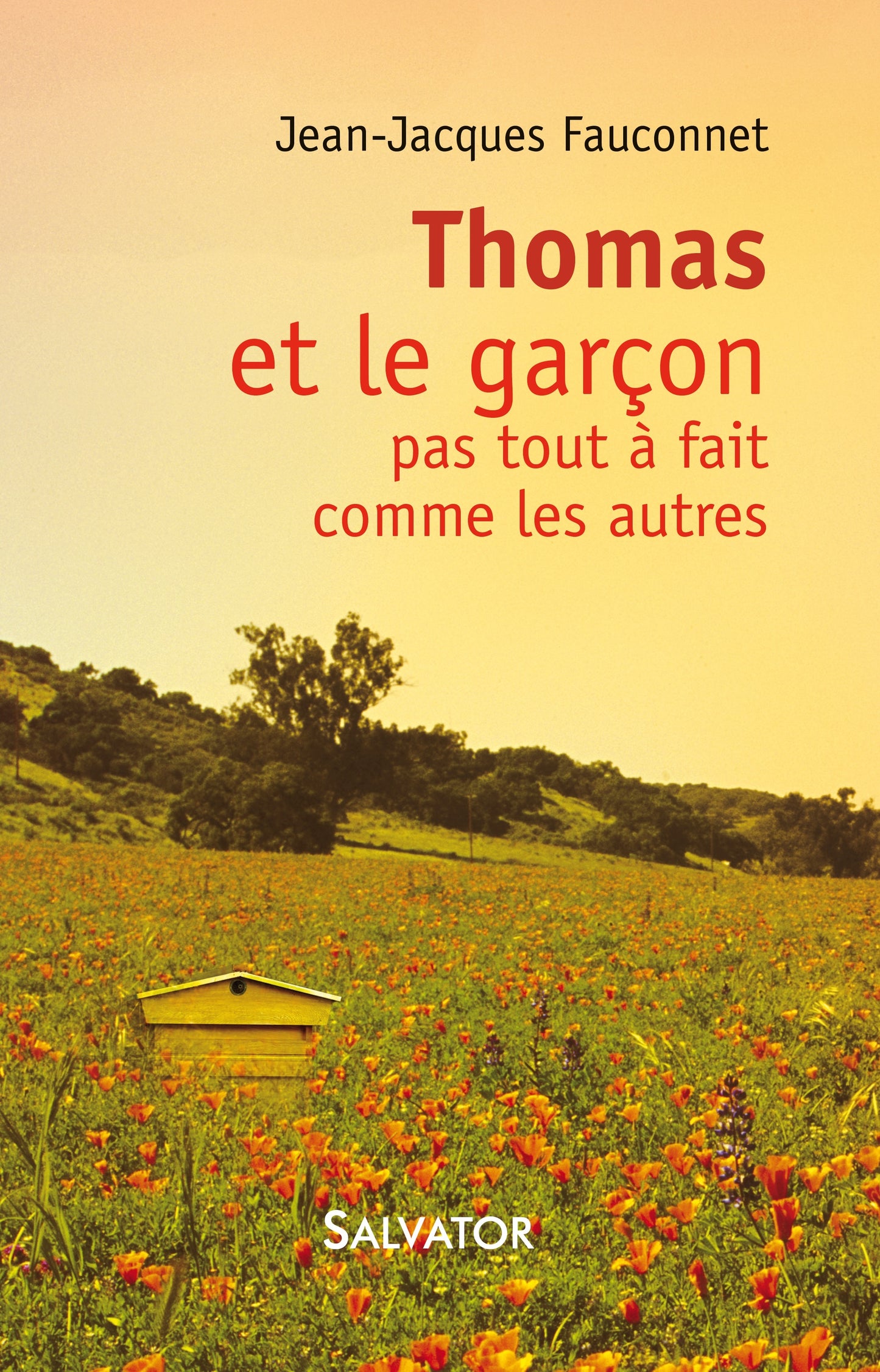Thomas et le garçon pas tout à fait comme les autres