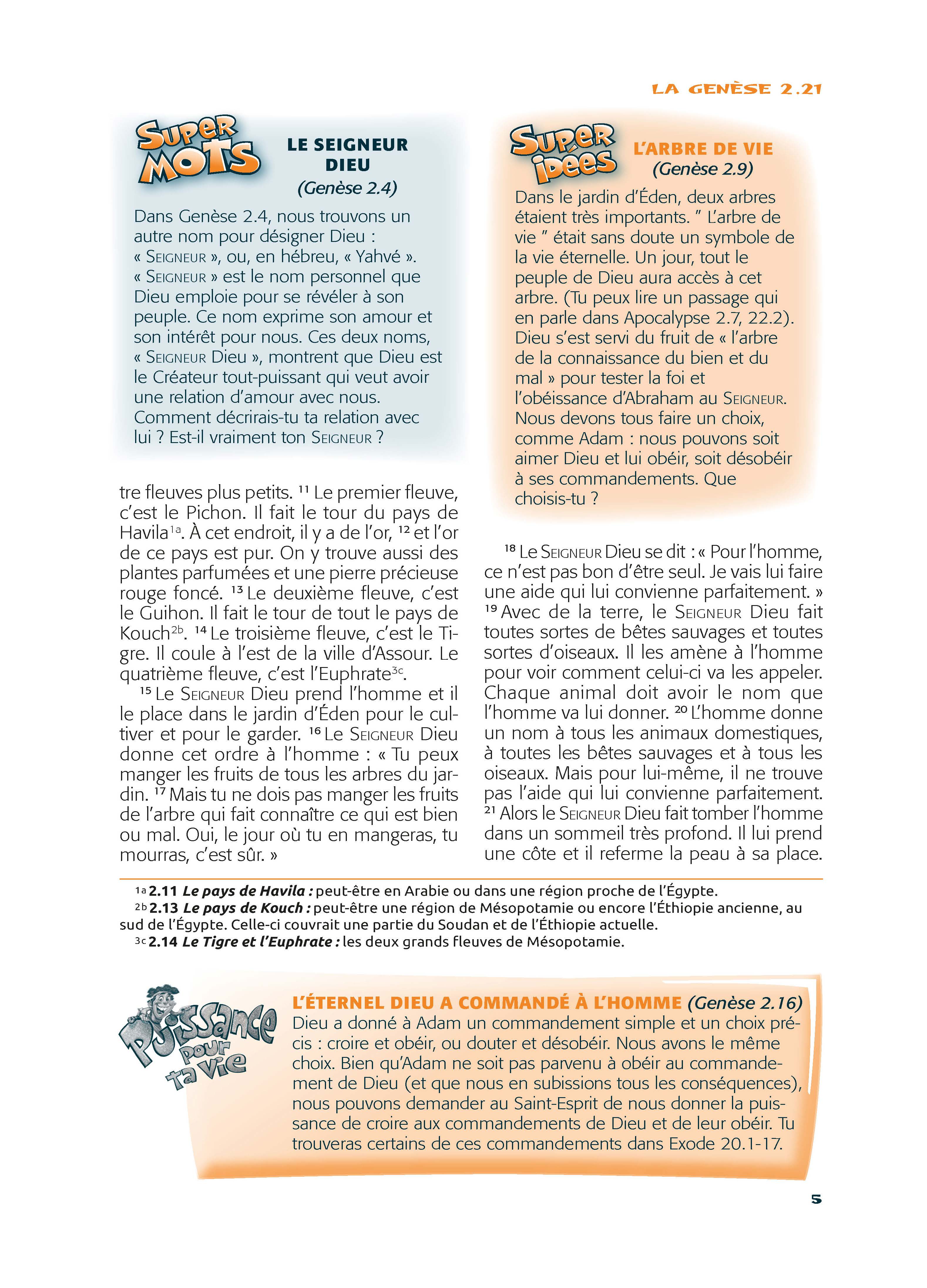 Bible Esprit et Vie Junior