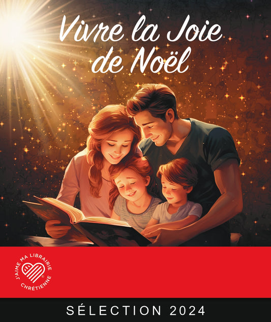 Option 2 - CV 4 personnalisée - Catalogue Noël 2024