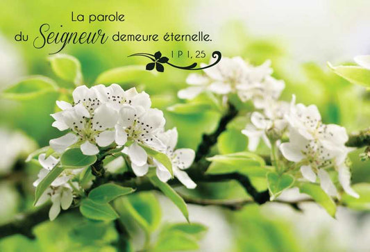 Carte Double Photo Nature La Parole du Seigneur demeure éternelle.