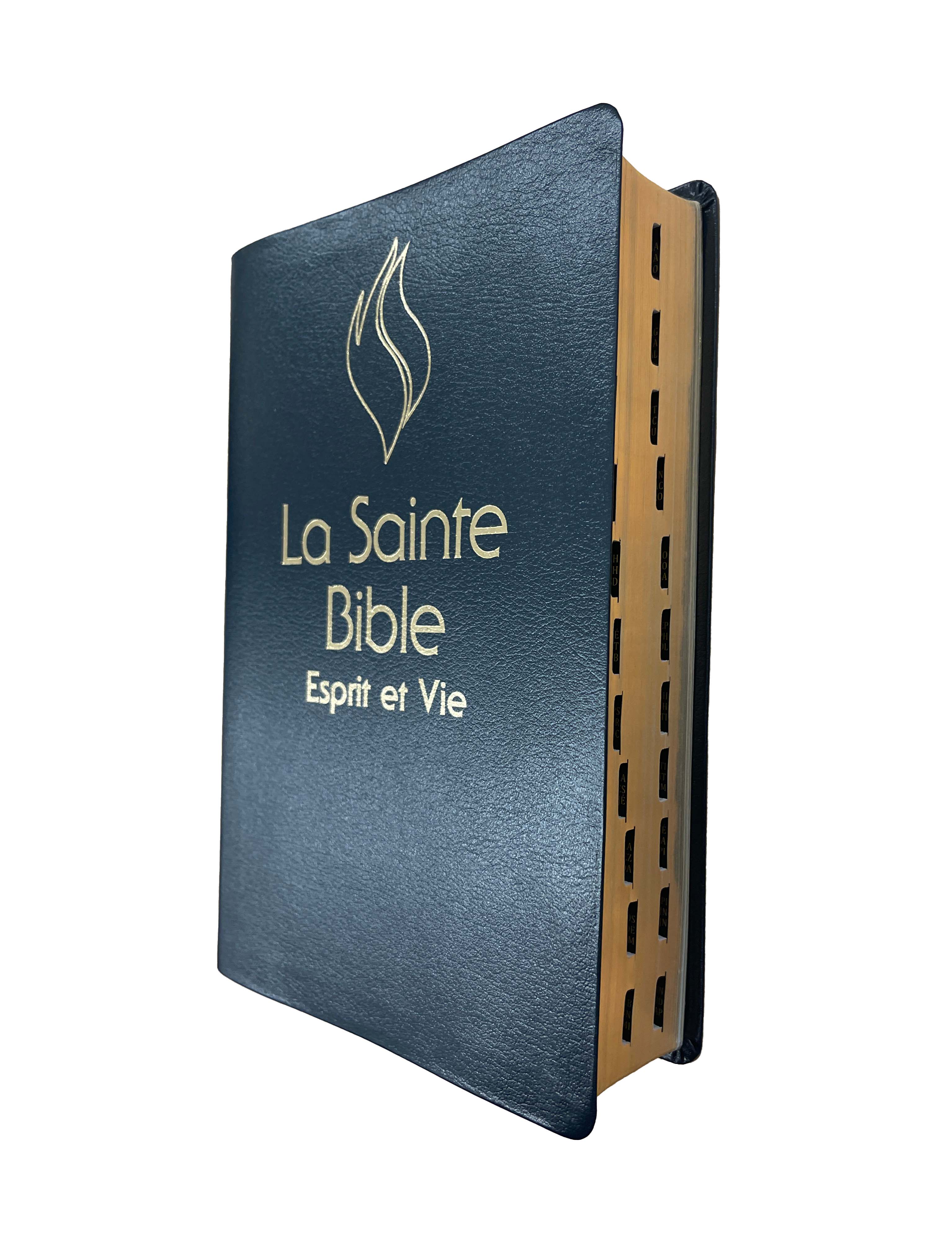 Bible Esprit et Vie | Cuir Bleu | Coffret rigide | Modèle 2025
