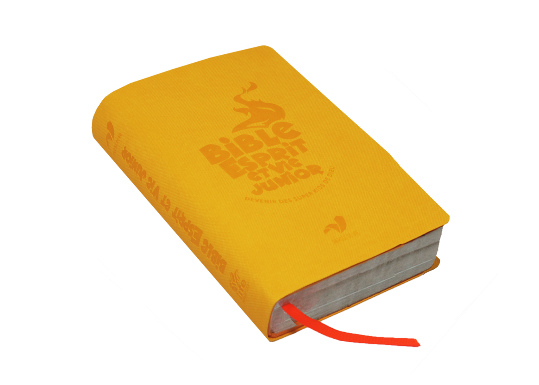 Bible Esprit et Vie Junior